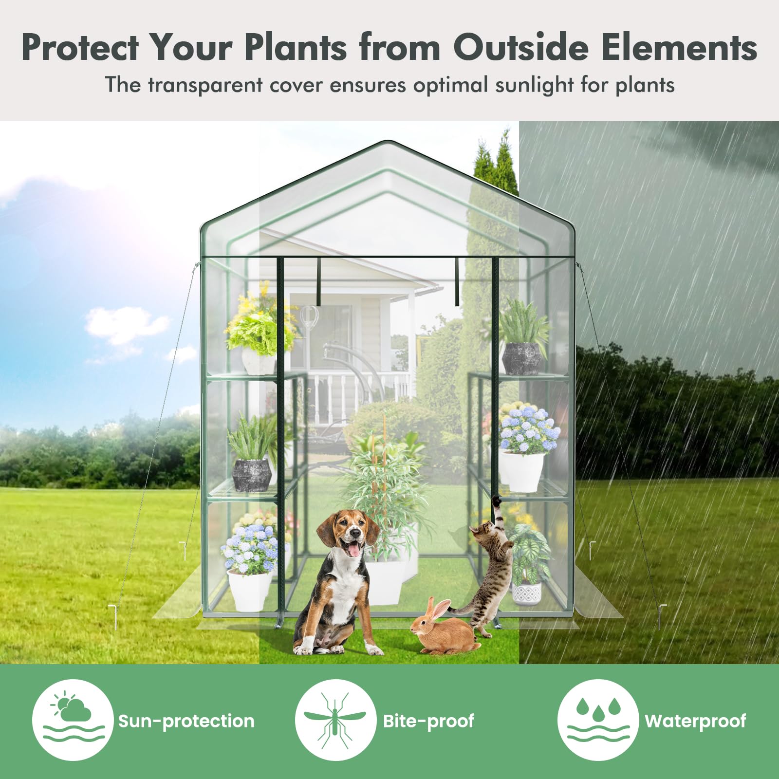 4.6 x 4.7 x 6.5 FT Walk-in Greenhouse with 3 Tiers 4 Shelves, 4 Ground Stakes & Ropes, PVC Cover, Roll-up Zippered Door