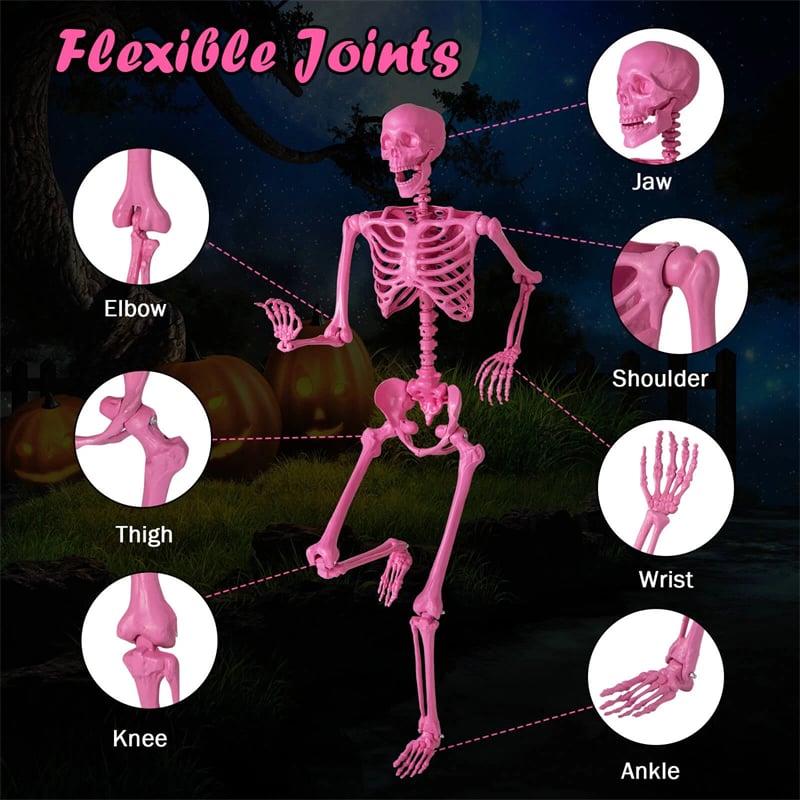 5.5 FT Pink Halloween Skeleton, Life-Size Poseable Skeleton Decor with Movable Joints for Graveyard Prop, Haunted House, Indoor & Outdoor Use