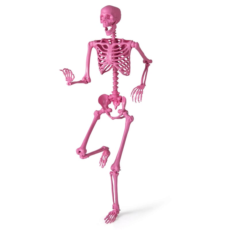 5.5 FT Pink Halloween Skeleton, Life-Size Poseable Skeleton Decor with Movable Joints for Graveyard Prop, Haunted House, Indoor & Outdoor Use