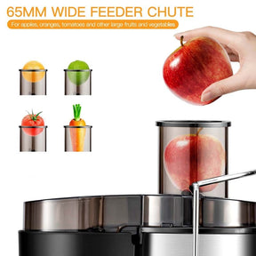 Juicer Machines, 400W Masticating Juicer Extractor, Stainless Steel Centrifugal Juicer with 2.5 Inch Wide Mouth, 2 Speed Modes