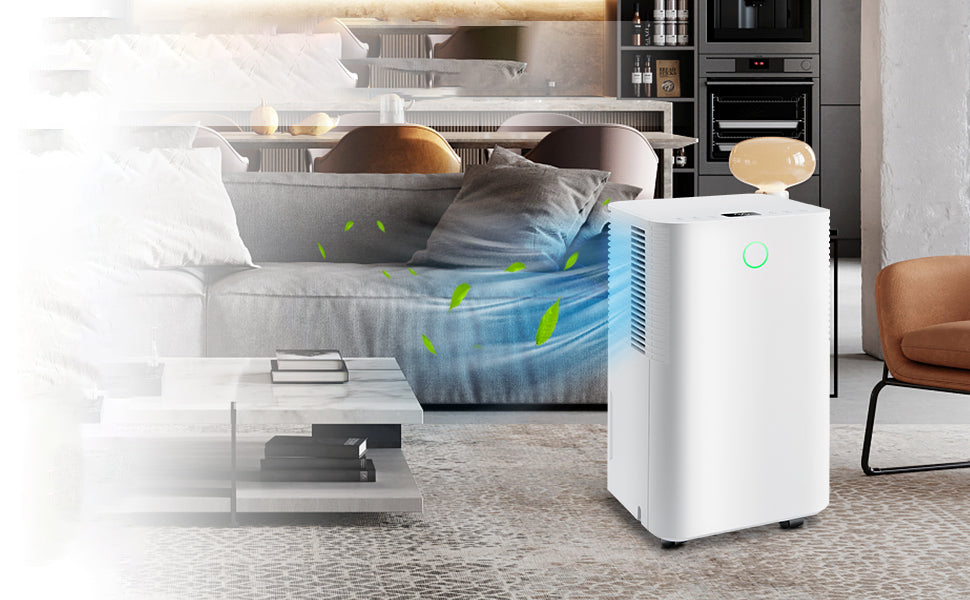 Differences Between Home and Commercial Dehumidifiers