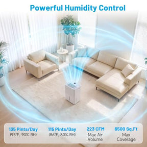 135 Pint/64 L Dehumidifier with Drain Hose for Home Basement