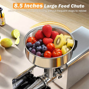 450W Electric Tomato Strainer, Commercial Stainless Steel Sauce Maker, 200-350lbs/h Food Milling Machine for Tomato Sauce,Strawberry Blueberry Jam