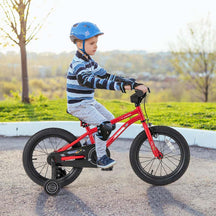 16 Inch Kids Bike Bicycle with Training Wheels & Adjustable Saddle for 4-7 Years Old Boys Girls, Heavy-Duty Steel Frame Children Sport Mtb