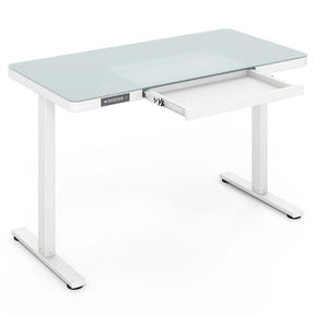 48" x 24" Electric Standing Desk with Drawer, Tempered Glass Top, Memory Positions & USB Type-C Outlets, Sit Stand Desk for Home Office