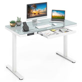 48" x 24" Electric Standing Desk with Drawer, Tempered Glass Top, Memory Positions & USB Type-C Outlets, Sit Stand Desk for Home Office