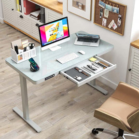 48" x 24" Electric Standing Desk with Drawer, Tempered Glass Top, Memory Positions & USB Type-C Outlets, Sit Stand Desk for Home Office