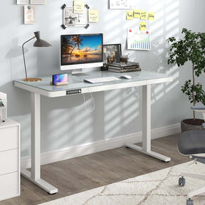 48" x 24" Electric Standing Desk with Drawer, Tempered Glass Top, Memory Positions & USB Type-C Outlets, Sit Stand Desk for Home Office