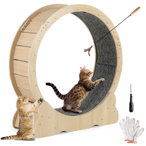 40" Large Cat Exercise Wheel for Indoor Cats, Low Noise Cat Treadmill with Lockable Mechanism, Carpeted Runway & Teasing Toy for Kitty Fitness