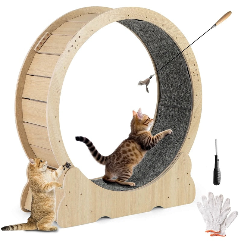 40" Large Cat Exercise Wheel for Indoor Cats, Low Noise Cat Treadmill with Lockable Mechanism, Carpeted Runway & Teasing Toy for Kitty Fitness