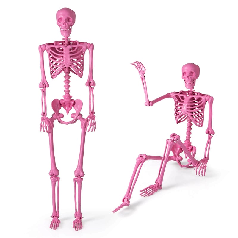 5.5 FT Pink Halloween Skeleton, Life-Size Poseable Skeleton Decor with Movable Joints for Graveyard Prop, Haunted House, Indoor & Outdoor Use