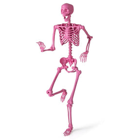 5.5 FT Pink Halloween Skeleton, Life-Size Poseable Skeleton Decor with Movable Joints for Graveyard Prop, Haunted House, Indoor & Outdoor Use