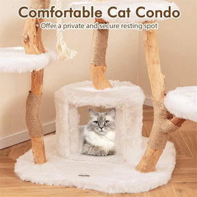 66" Tall Solid Wood Cat Tree for Large Cats, Modern Multi-Level Cat Tower with Condo, Plush Perch, Jute & Sisal Scratching Posts