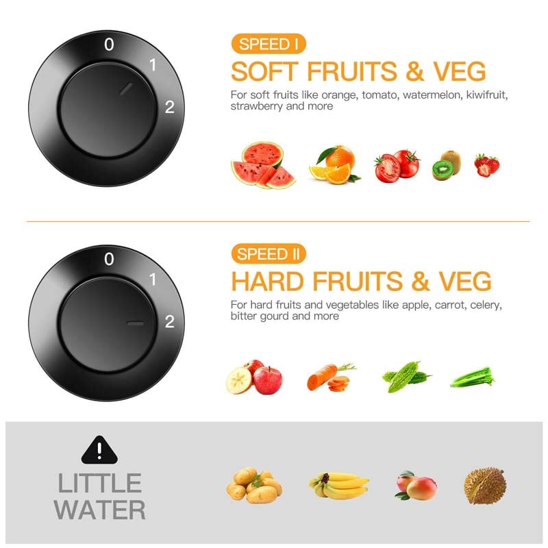 2 Speed Wide Mouth Fruit & Vegetable Centrifugal Electric Juicer